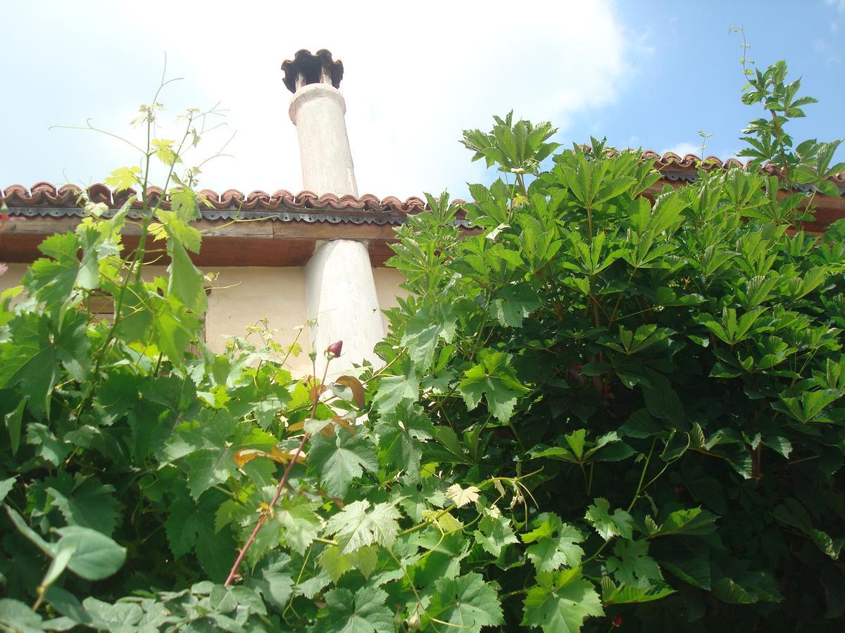 Oikia Alexandrou Traditional Inn Arnaía Dış mekan fotoğraf