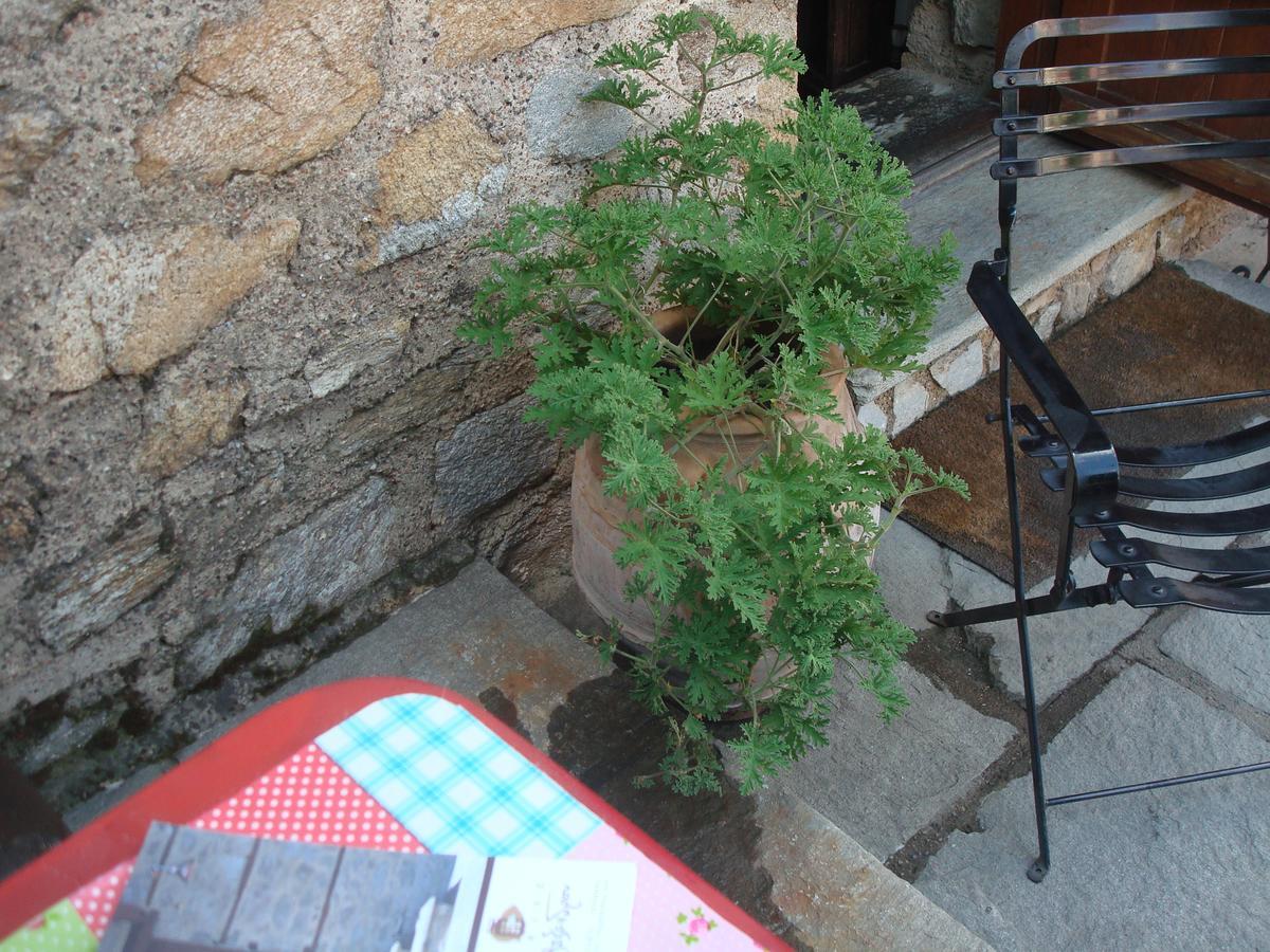 Oikia Alexandrou Traditional Inn Arnaía Dış mekan fotoğraf